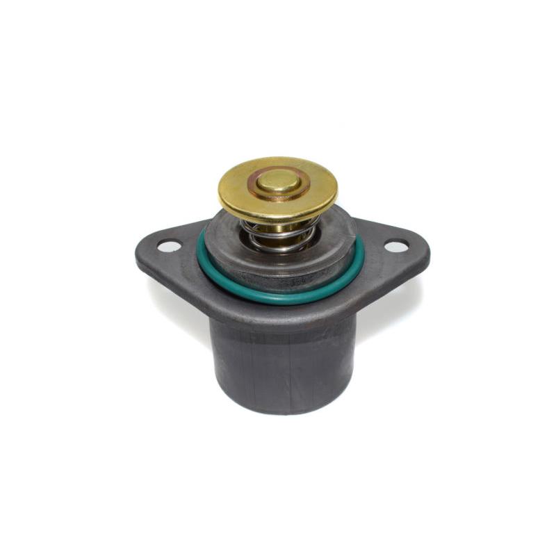 1830256C93- International Thermostat
