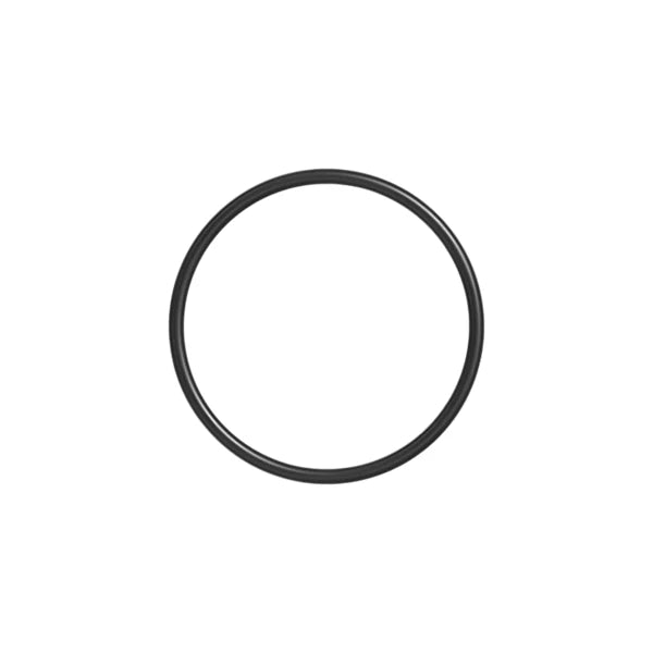 1090077- Caterpillar 100.97mm Inside Diameter Seal-O-Ring