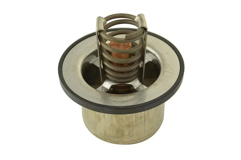 M4318947- Interstate McBee Thermostat
