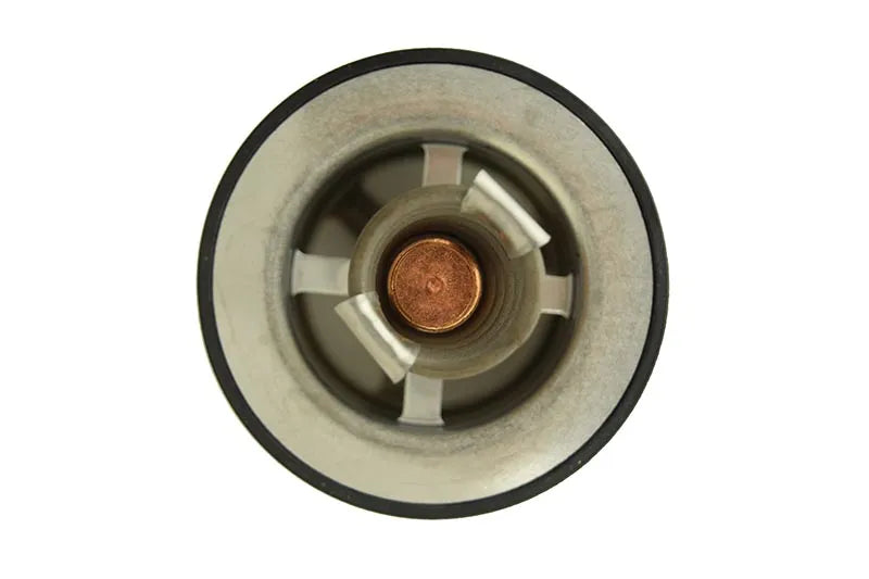 M4318947- Interstate McBee Thermostat