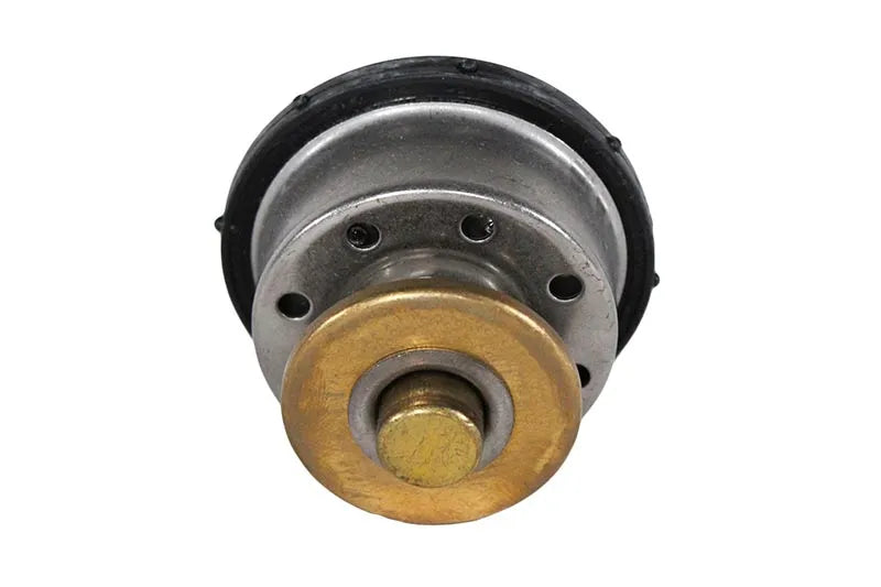 1842130C3- International Thermostat
