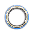 Stemco Pinion Seal-4290005