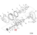 3519807- Cummins Turbocharger Gasket