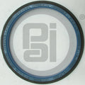 PAI 336012 Rear Crankshaft Seal – Caterpillar 3406 / 3406E / C15 / C16 / C18