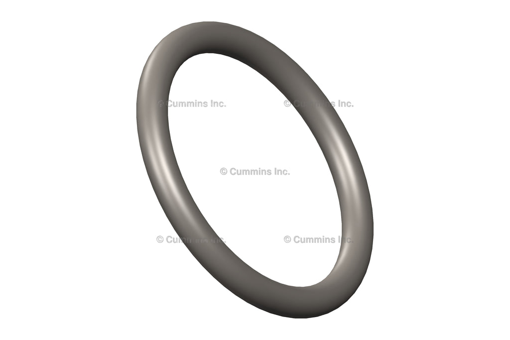 3678606- Cummins O Ring Seal