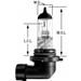 Wagner 9006 Standard Halogen Headlight Bulb, 12.8V 55W, Clear, Single Bulb